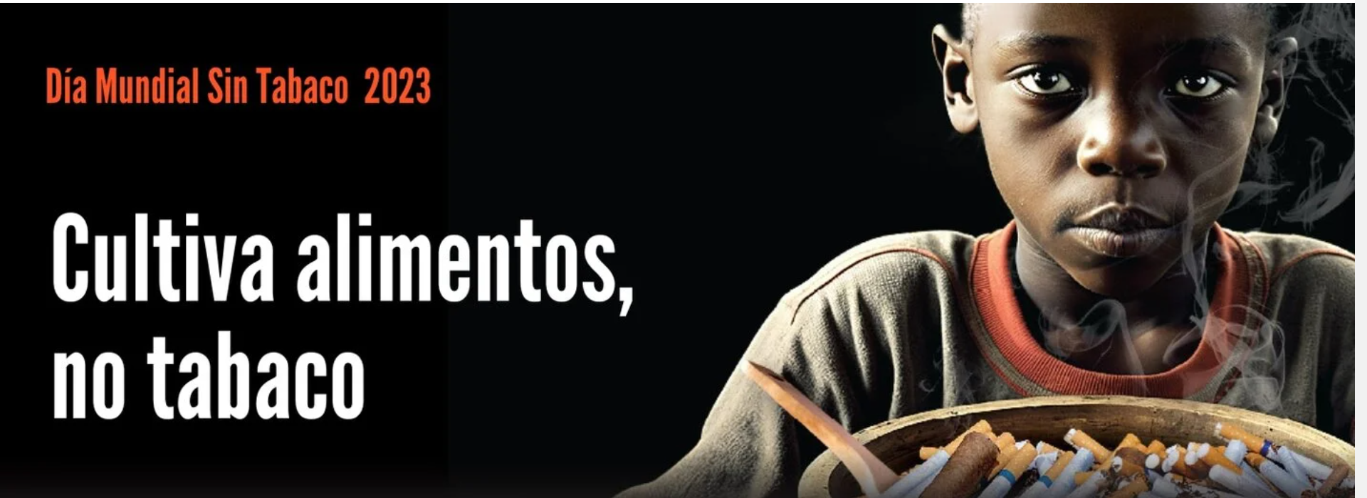 Día Mundial sin Tabaco 2023. OMS – Plan Sobre Drogas y Otras Conductas ...
